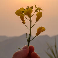 清明节出游之安徽 歙县 石潭村