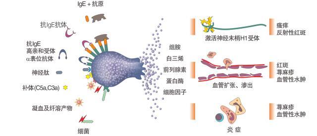 躲不过的换季护肤难题——敏感肌该怎么护理？