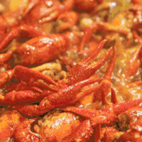 夏日的味道，你知道吗？ 篇四：五一三天上海人吃掉了24万只小龙虾，震惊！