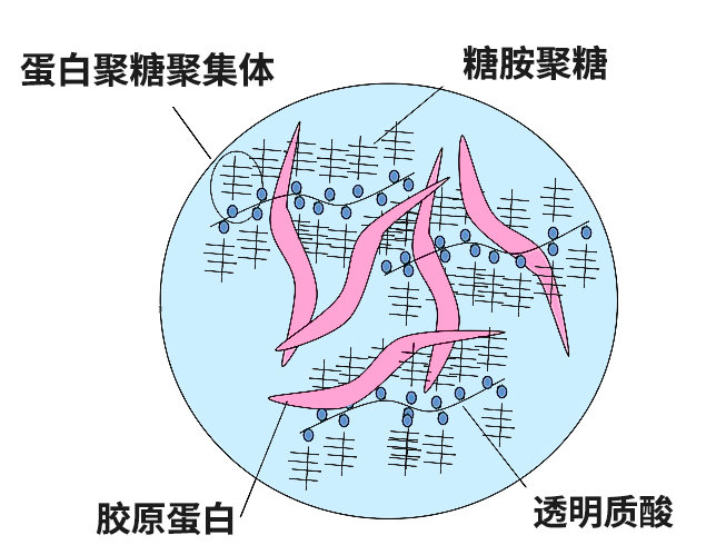 "药妆"巨头修丽可深度解析：色修/CEF/紫米精华/发光瓶值得入吗？