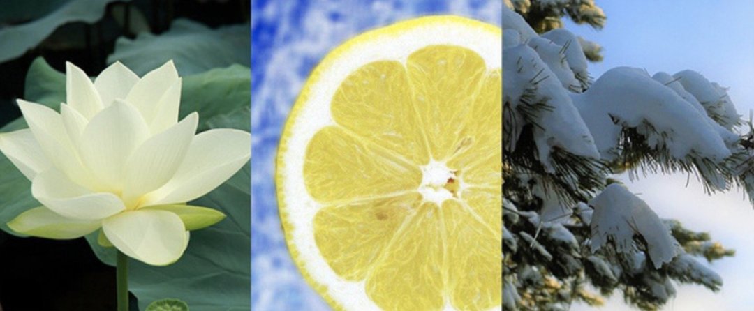 香水Club Vol. 1：低价就买不到好香水？平价又好闻的百元男士香水推荐