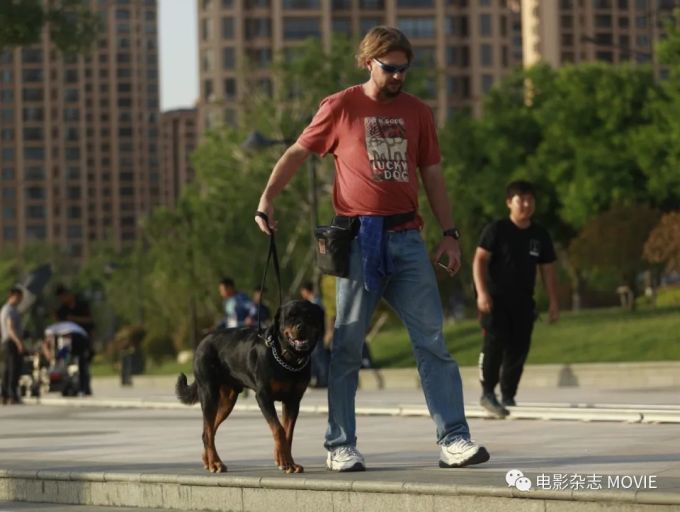 “忠犬八公”的训练师在中国的第一部电影