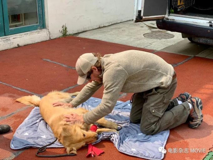 “忠犬八公”的训练师在中国的第一部电影