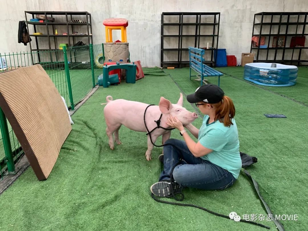 “忠犬八公”的训练师在中国的第一部电影