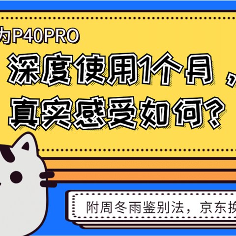 华为P40PRO深度使用1个月，真实感受如何？附周冬雨鉴别法，京东换机与购买建议！