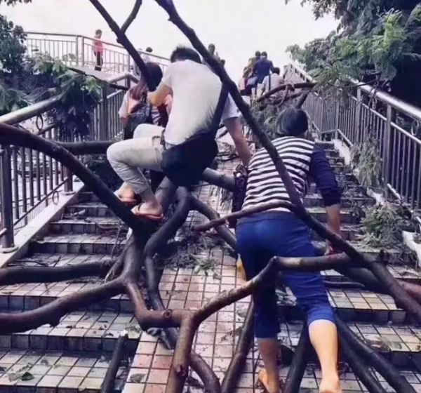 “淋雨”饮早茶上热搜!有一种淡定,叫广州人!