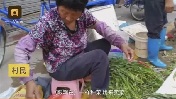 “淋雨”饮早茶上热搜!有一种淡定,叫广州人!