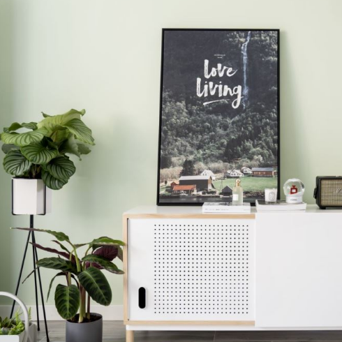 「家装经验谈」：健康安全才是重中之重！装修涂料选购看这6点，附选购推荐~