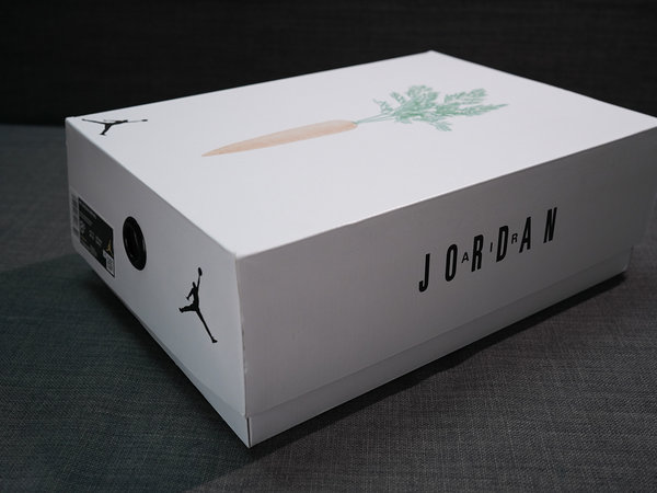 Air Jordan 6 小兔八哥