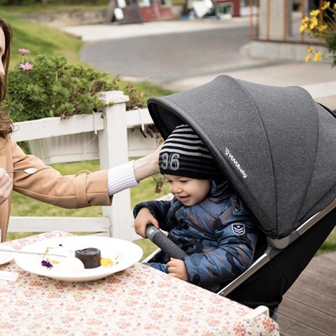 颜值与性能并存的高景观婴儿推车，这几款不要错过