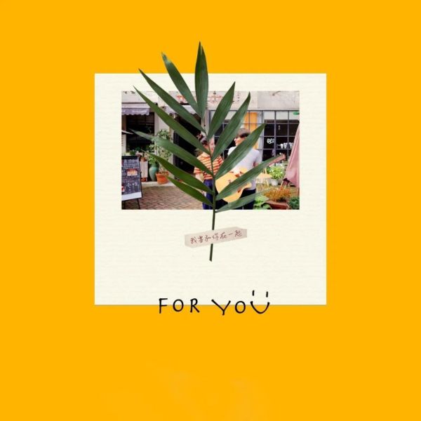 现在的专辑封面,都这么好看的吗?