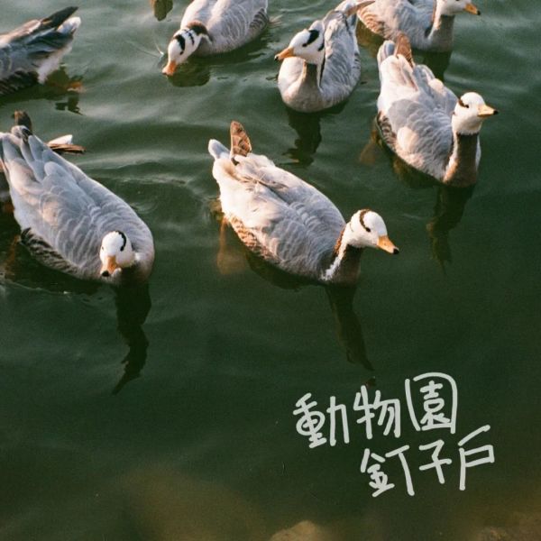 现在的专辑封面,都这么好看的吗?