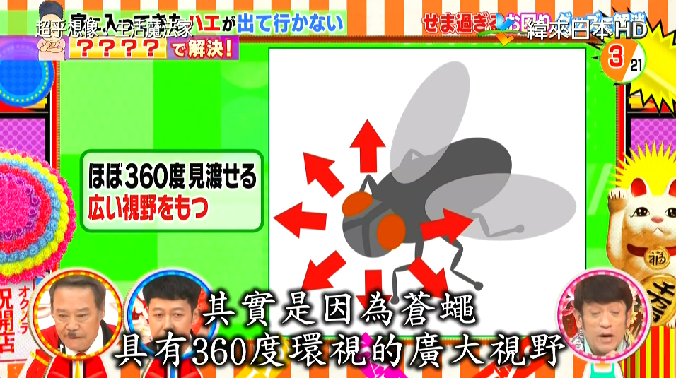 日本综艺教你解决“生活小烦恼”：如何轻松赶走苍蝇？吸盘怎么能不掉下来？