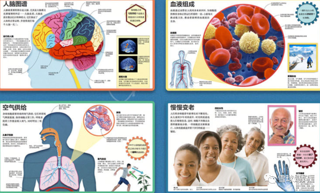 科普绘本| 中国孩子最缺的人体科学启蒙，我推荐这些书