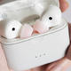 不必每款耳机都像Airpods，Anker Liberty Air 2体验