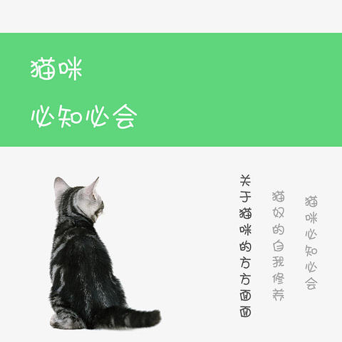 7千字长文，告诉你猫咪的方方面面