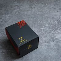 诞生于热情付诸于热情—— Z AUDIO Z01耳塞 评测