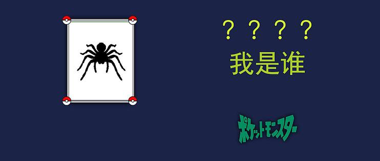 橙巴布蜘蛛的饲养经历 蜘蛛怎么养都需要什么 什么值得买