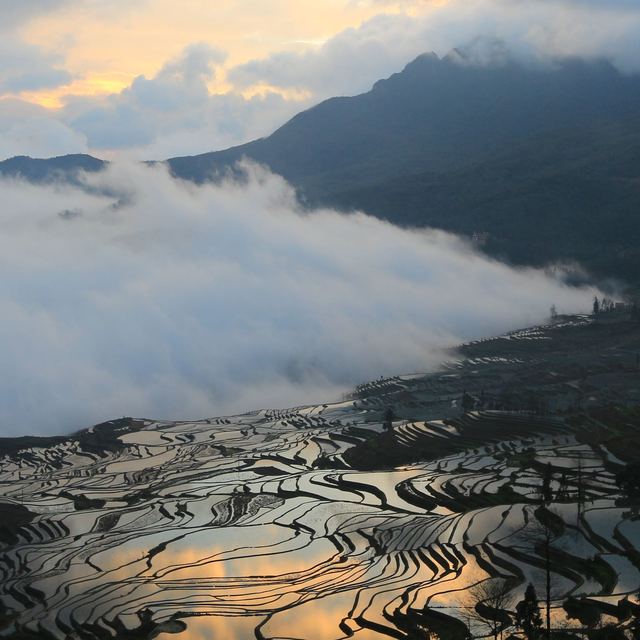 云南真的没有好咖啡吗？