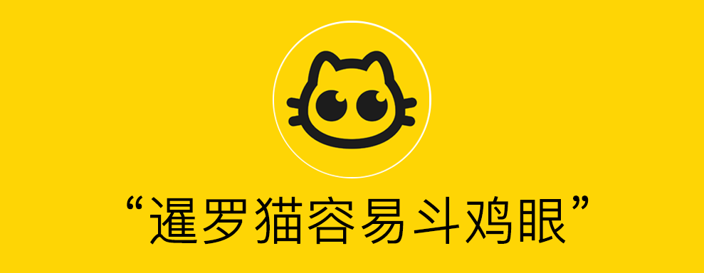 科普向｜啥！猫有肚脐眼？暹罗猫容易得斗鸡眼？？？？？？？