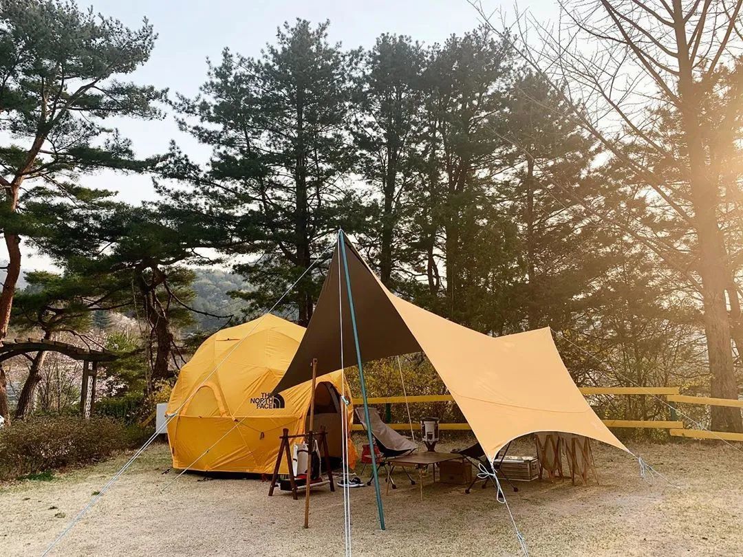 2019年日本市场10款风格露营帐篷人气榜