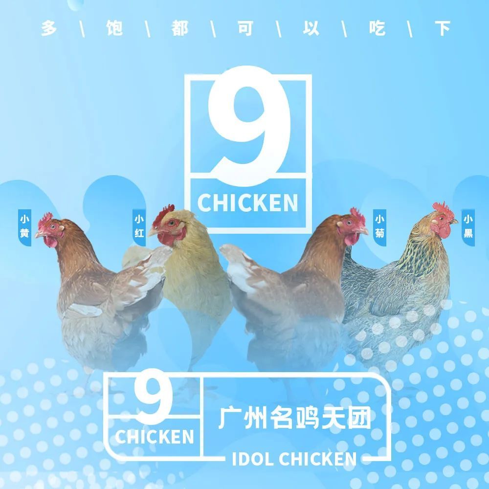 《广州名鸡101》
