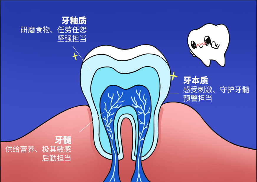 不刷牙的好处，只有这一个