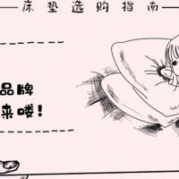 618有什么特别值得买的床垫品牌吗？