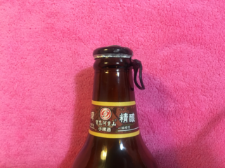 阿里山 台湾风味黄啤酒248ml