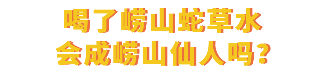 你的修仙之路，可能卡在白花蛇草水上了