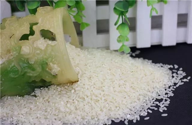 中国哪里的大米最好吃？