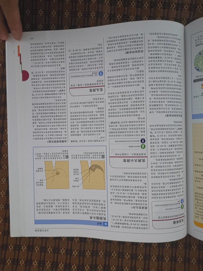 中国大百科全书出版社生活教育