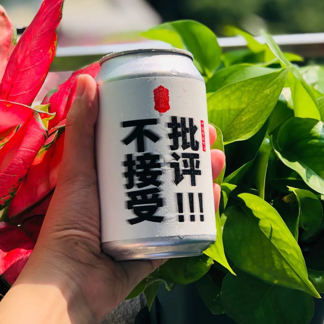 今年夏天 如果你刚好也想入坑精酿 啤酒 什么值得买