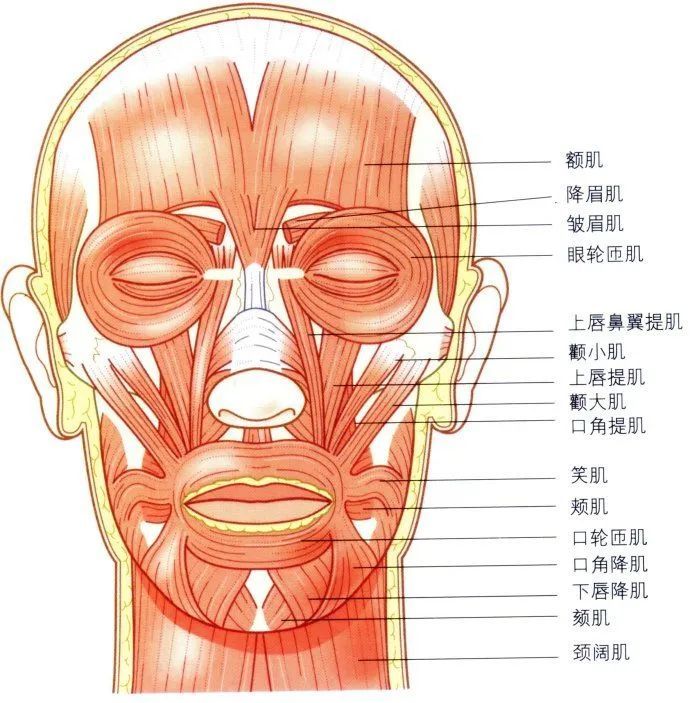 怎样把显老10岁的踩雷穿搭，变成恰到好处的优雅？