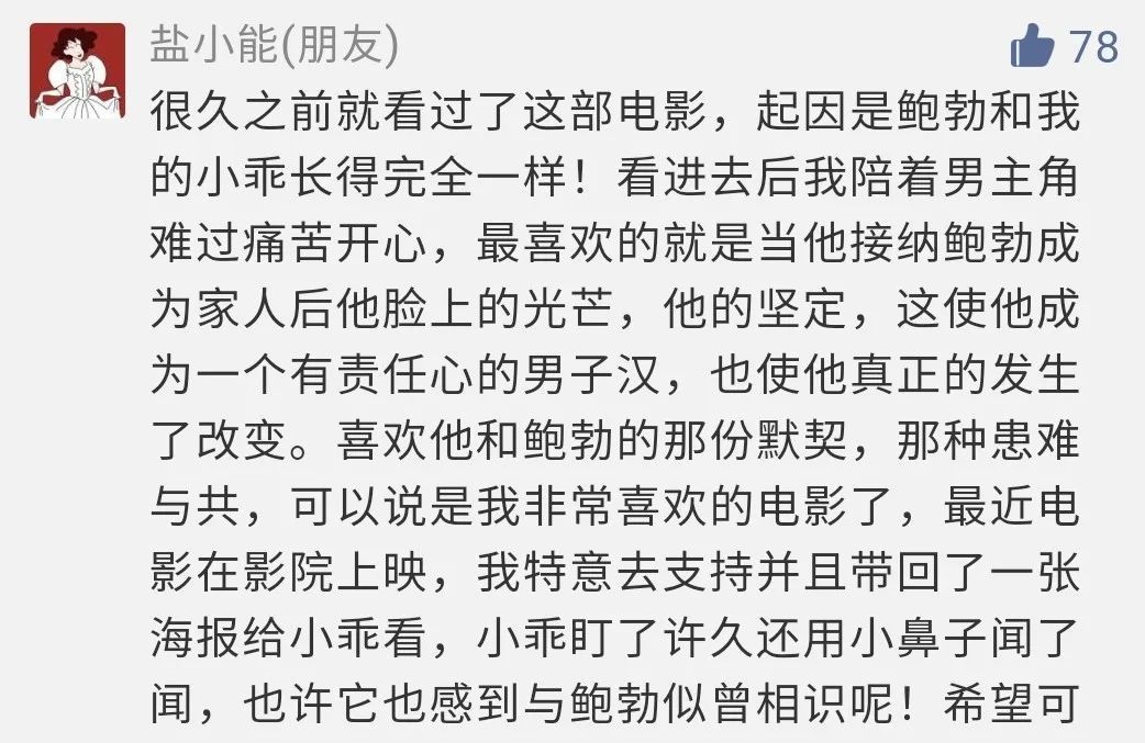 那只治愈了全世界的流浪猫鲍勃，昨晚去世了...