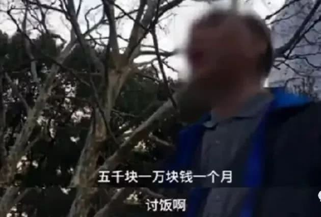 何以解忧？除却杜康，唯有食补壮阳