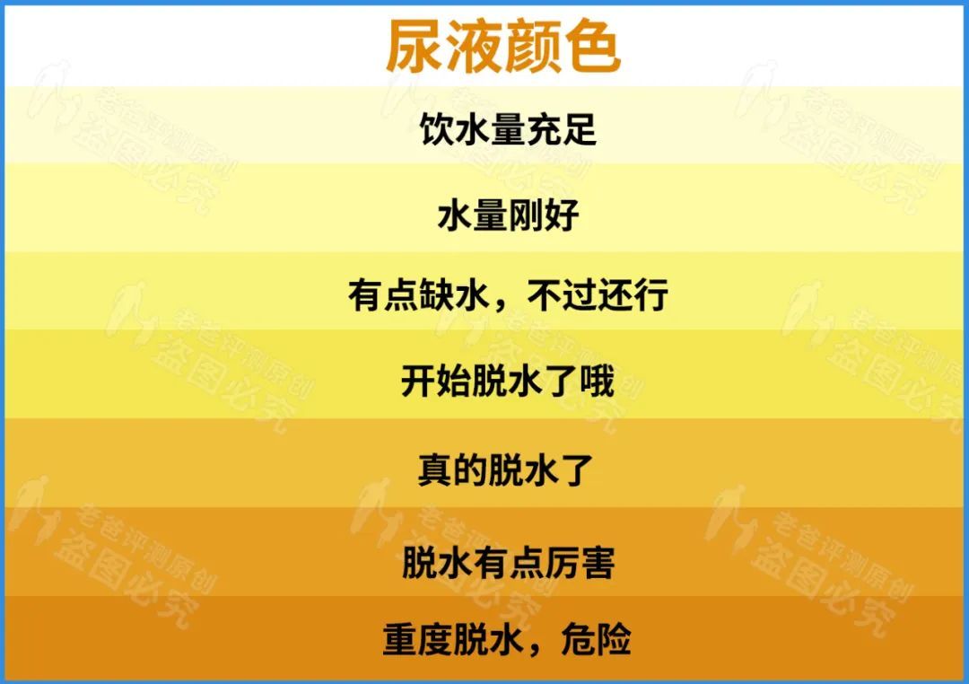 喝水的杯子放哪里合理_8杯水正确喝水时间表一杯多少_喝水的杯子是多少毫升