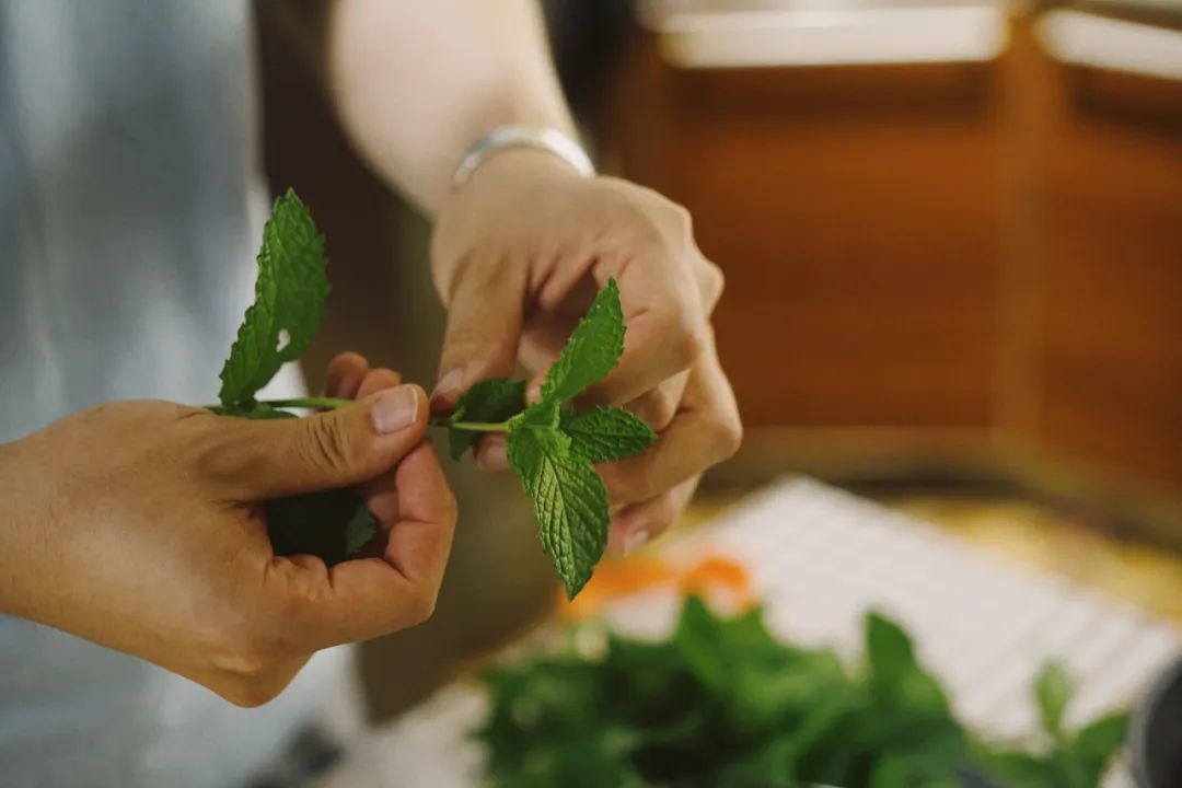 我在森林里给自己办了一场“野酒”会，过了一把神仙日子