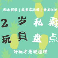 干货 | 15款2岁私藏玩具盘点！好玩性价比高！