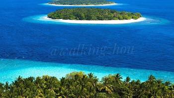 旅游 篇四十一：马尔代夫跳岛游有必要吗？这几种搭配让您迅速成为海岛玩家！