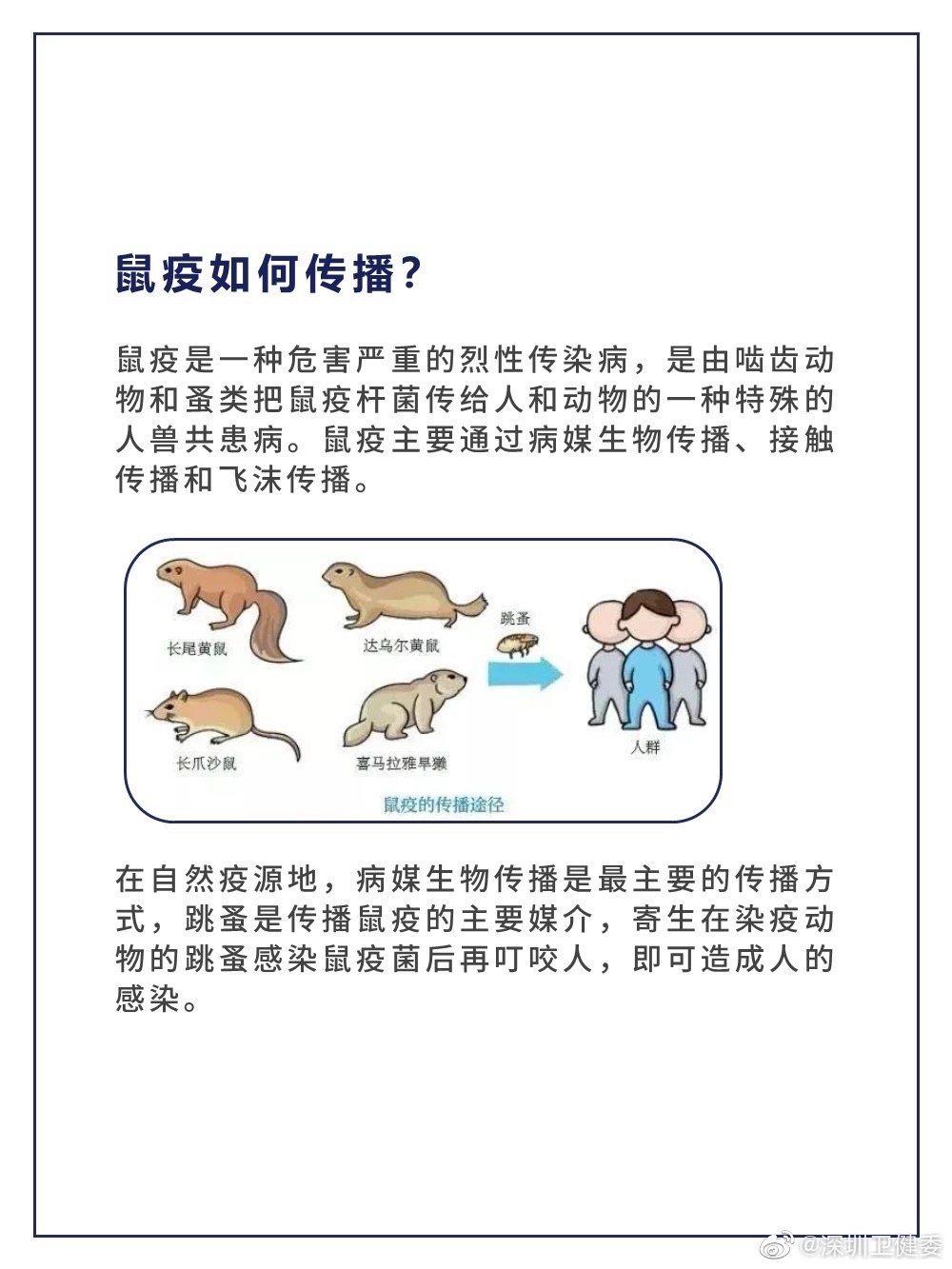 出行提示：内蒙古确诊一例鼠疫 去草原不接近野生动物 更不能食用！
