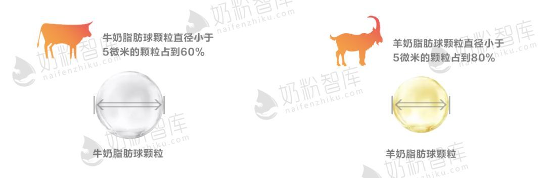 羊奶最近很热门，该怎么选？这14个品牌可以参考一下