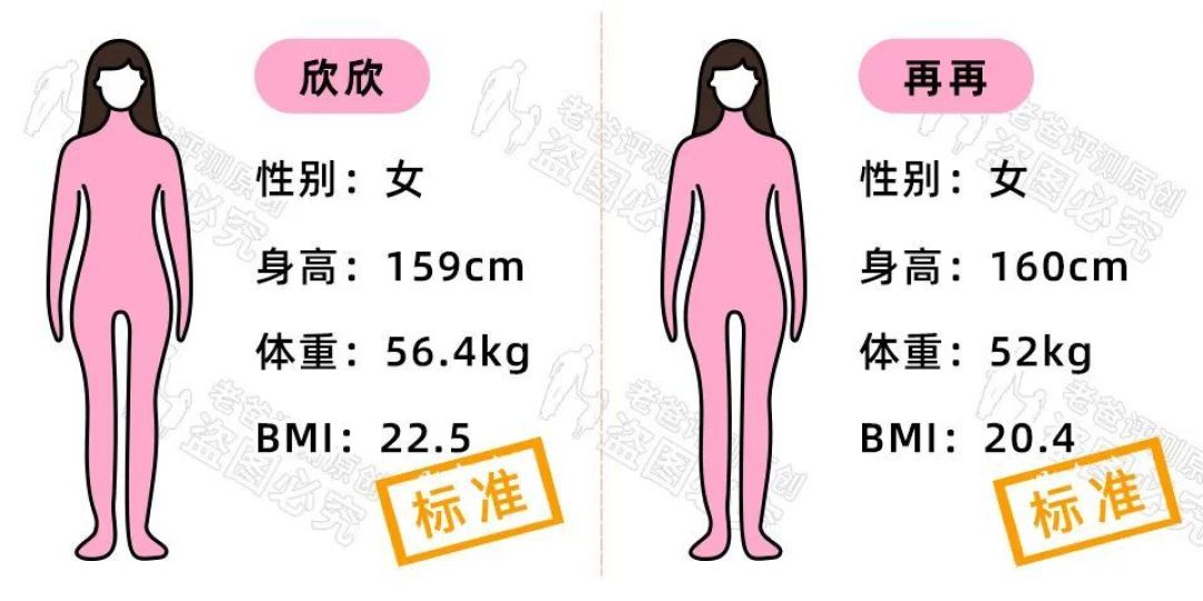 万万没想到 胖子才是那个最适合用体脂秤的人 健康秤 什么值得买