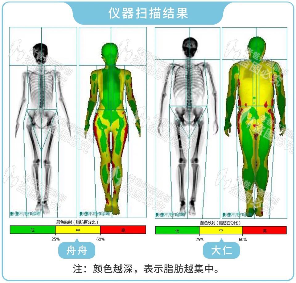 万万没想到，胖子才是那个最适合用体脂秤的人！