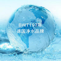 关于BWT进口去水垢滤芯