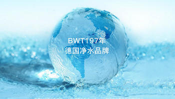 BWT 欧洲原装进口滤芯滤水壶 篇一：关于BWT进口去水垢滤芯