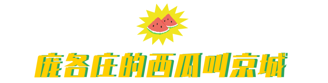庞各庄的西瓜，是北京人夏天的命