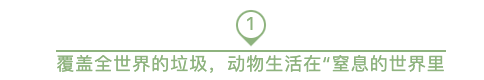 人活一生会吃掉多少微塑料？麦当劳停用吸管后1年节省400吨塑料是无用？人类拯救的，是自己的未来···