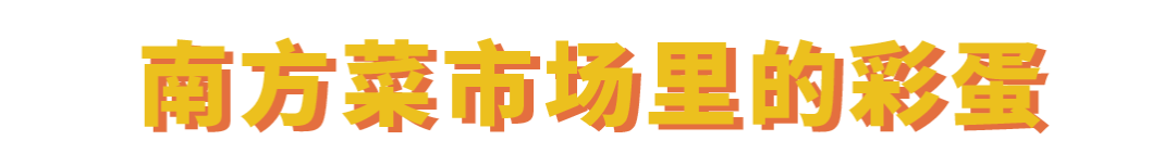 南方论根买，北方论车买，南北菜市场差距究竟有多大？