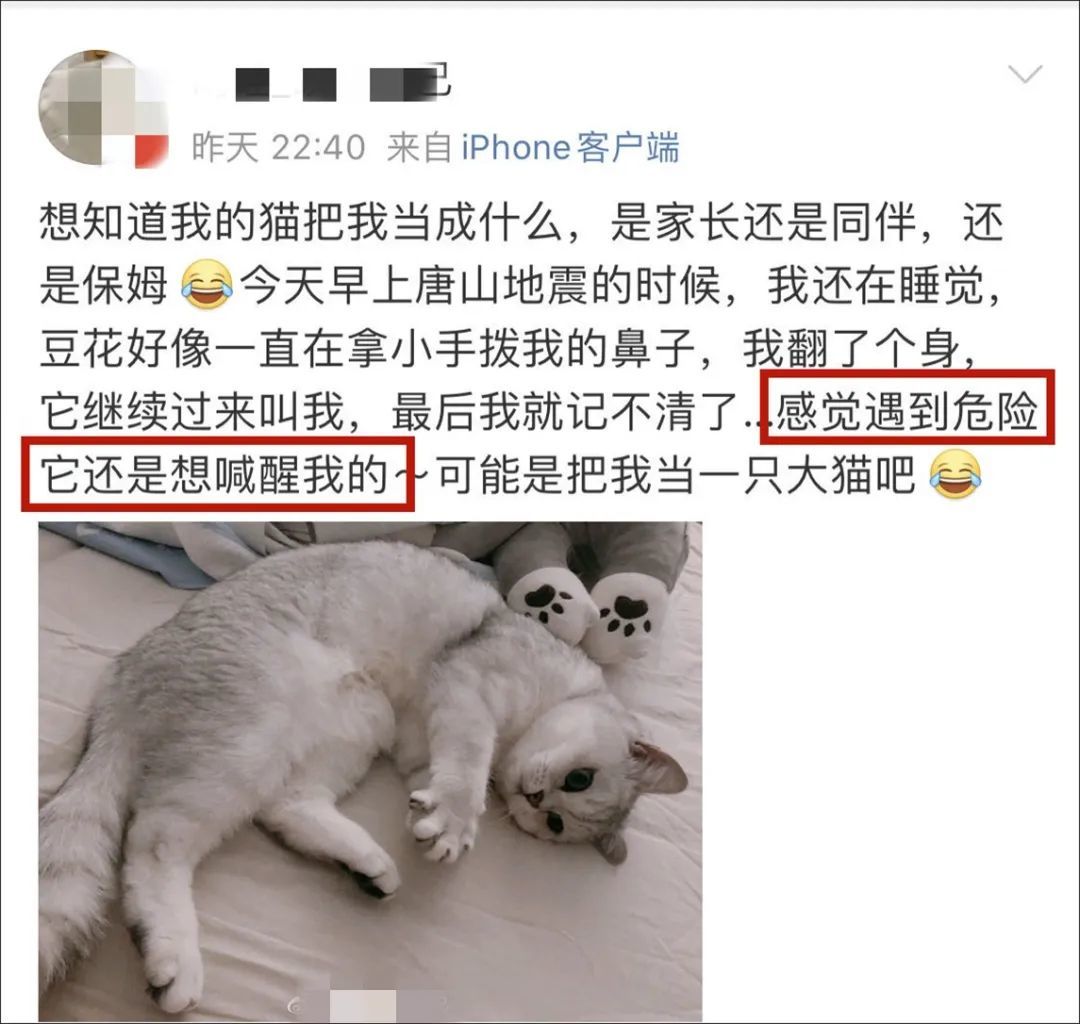 昨天地震时我家猫睡得叫都叫不醒，我是不是养到假猫了...